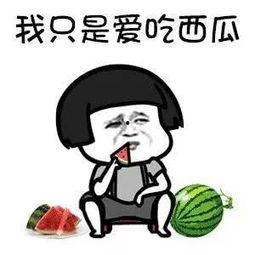 娱乐带你吃瓜,带你吃瓜，一网打尽明星幕后故事