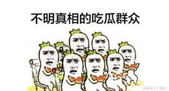 娱乐之星吃瓜群众,吃瓜群众的热议焦点