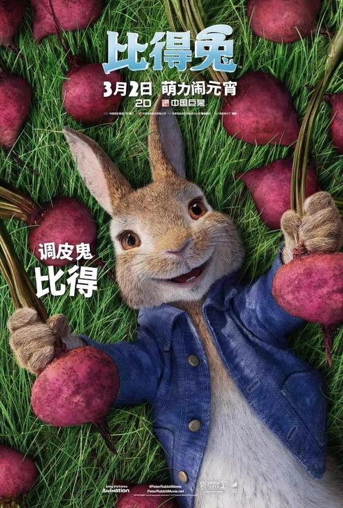 娱乐吃瓜兔子视频大全,盘点热门视频大全