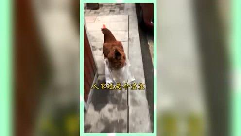 娱乐吃瓜群众素材,揭秘明星幕后故事