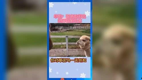 娱乐吃瓜群众素材,揭秘明星幕后故事