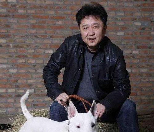 娱乐吃瓜遛鸟大师是谁,揭秘娱乐圈幕后风云人物