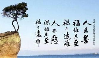 娱乐吃瓜酱事事皆有因果