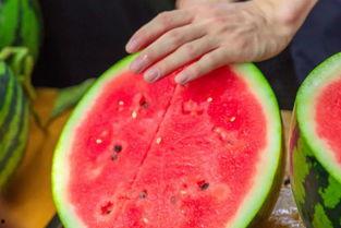 娱乐吃瓜名字大全,揭秘那些令人捧腹的“吃瓜”名字背后的故事