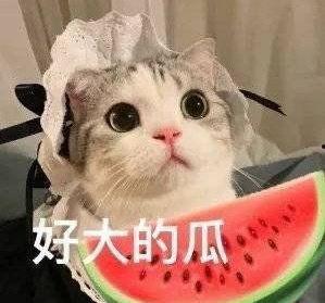 娱乐吃瓜网名女生名字,揭秘网名“瓜香四溢”女生的神秘魅力