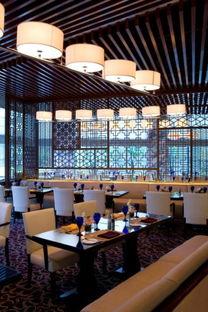 娱乐吃瓜酱咖啡馆,品味休闲时光，畅享八卦盛宴