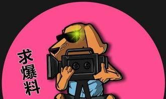 吃瓜娱乐打人案件,一桩打人案件的背后真相