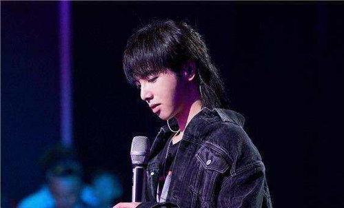 娱乐圈吃瓜华晨宇,娱乐圈的瓜田，他如何成为焦点？