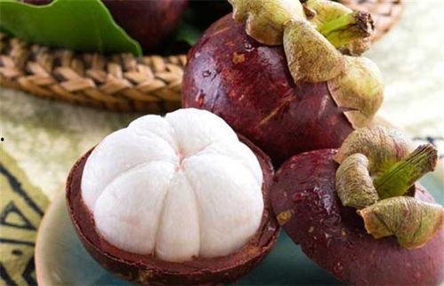 娱乐吃瓜酱山竹,娱乐吃瓜酱的神秘魅力揭秘