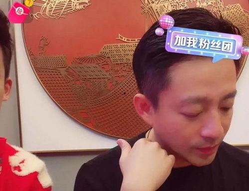 娱乐圈吃瓜爆料燕子,燕子吃瓜爆料，揭秘明星幕后故事