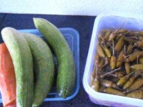 泡椒娱乐会长吃瓜,揭秘娱乐圈背后的“吃瓜”风云