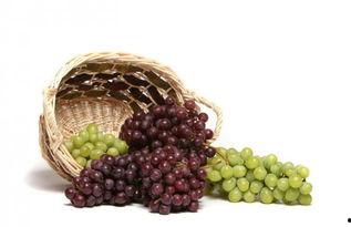 娱乐吃瓜酱吃葡萄,娱乐吃瓜酱带你品味葡萄的甜蜜与酸涩