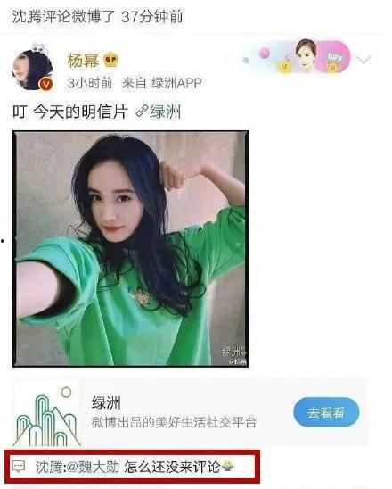 吃瓜娱乐圈网友评论