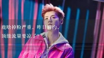 娱乐吃瓜封神,揭秘幕后故事与明星风云