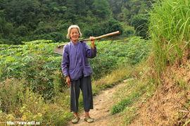 娱乐吃瓜酱拐进大山,揭秘不为人知的奇幻之旅